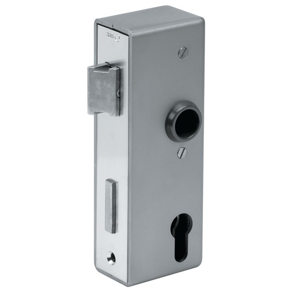 Produktabbildung: AMF Schlosskasten 141U, blank, Mass A30xB60xC172 mm, DIN links / rechts, Dornmass 40 mm